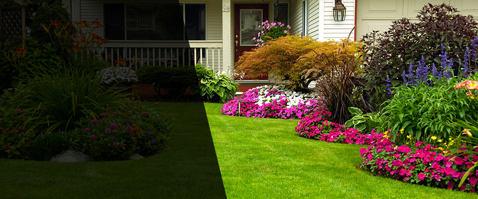 Socorro Landscapers