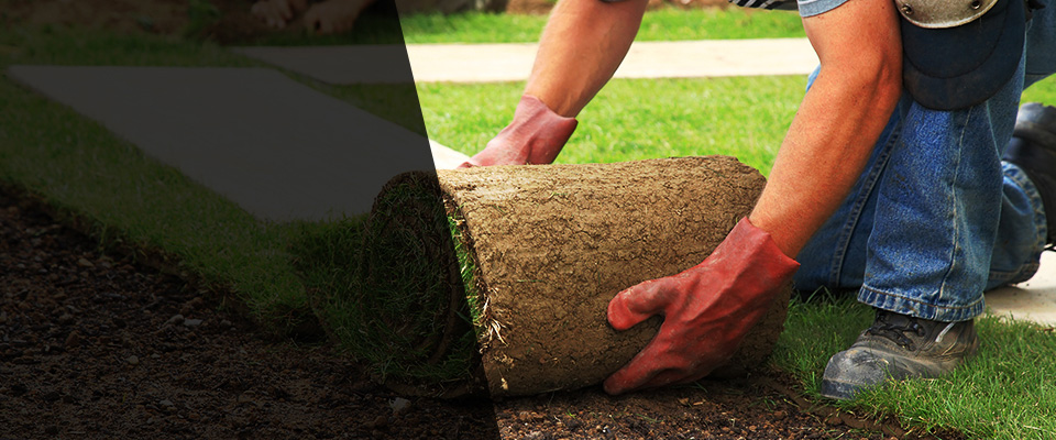 Socorro Landscapers